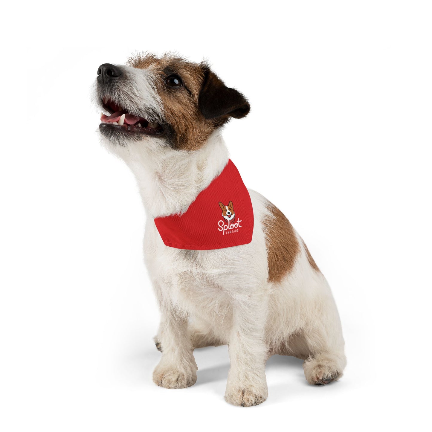 Classic Red Logo Collar Bandana