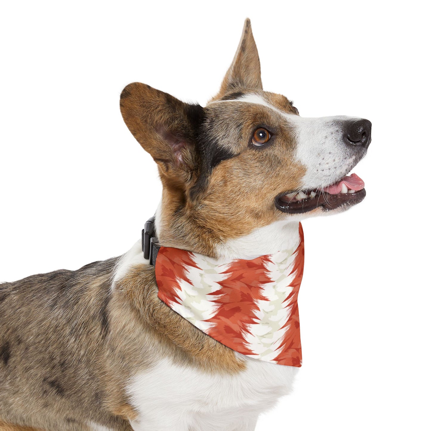 Fur-Ever Stripes Collar Bandana