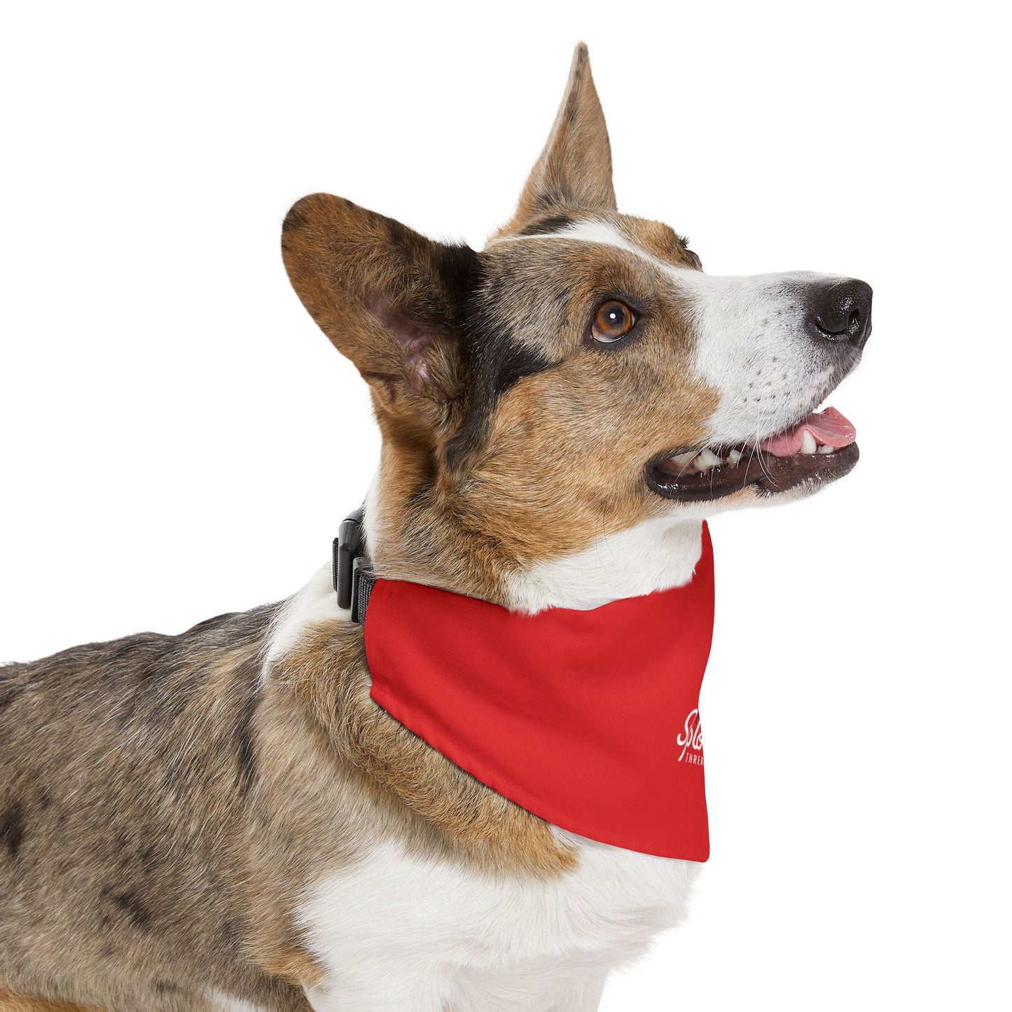 Classic Red Logo Collar Bandana